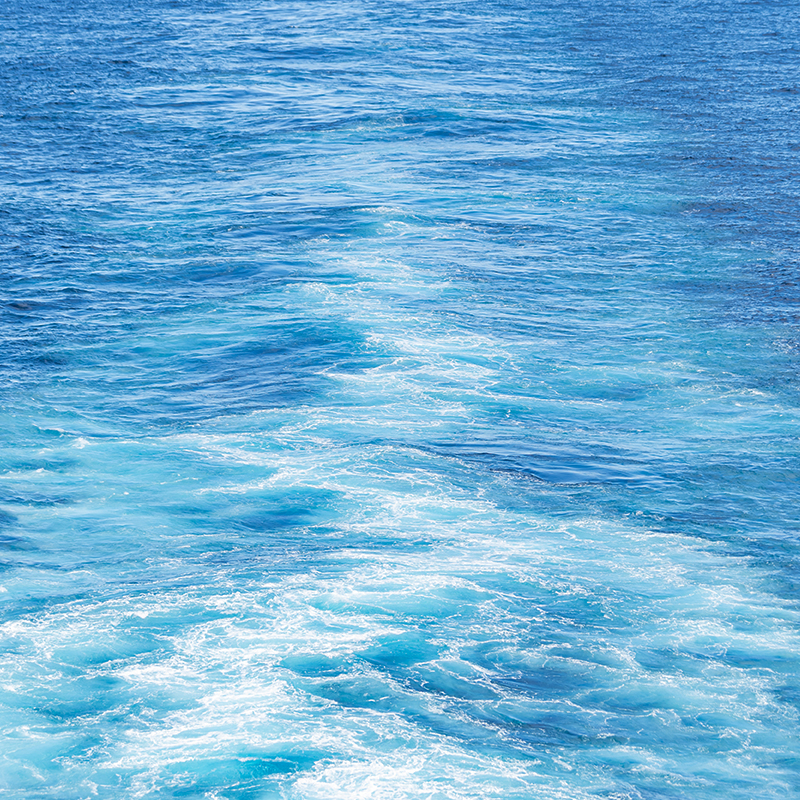 Seawater Desalination